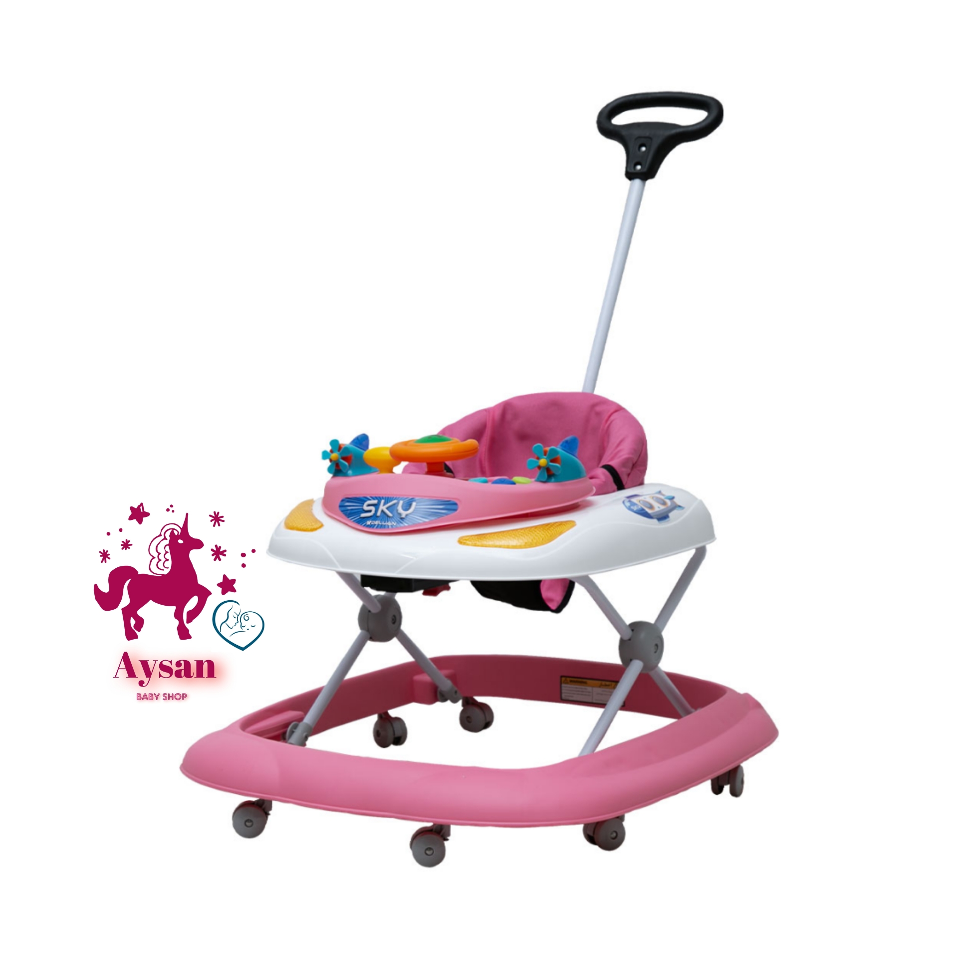 روروئک اسکای